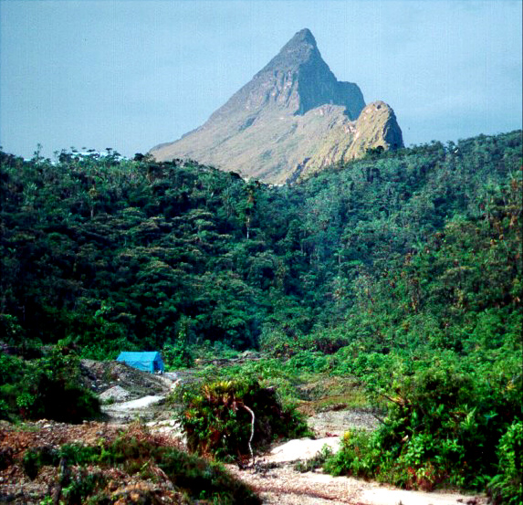 A Rota do Rio Negro